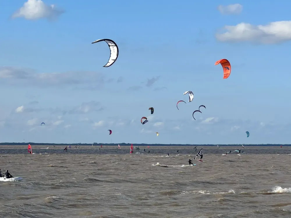 3d40d01d-3e4a-417a-8e00-9719bef9e76c