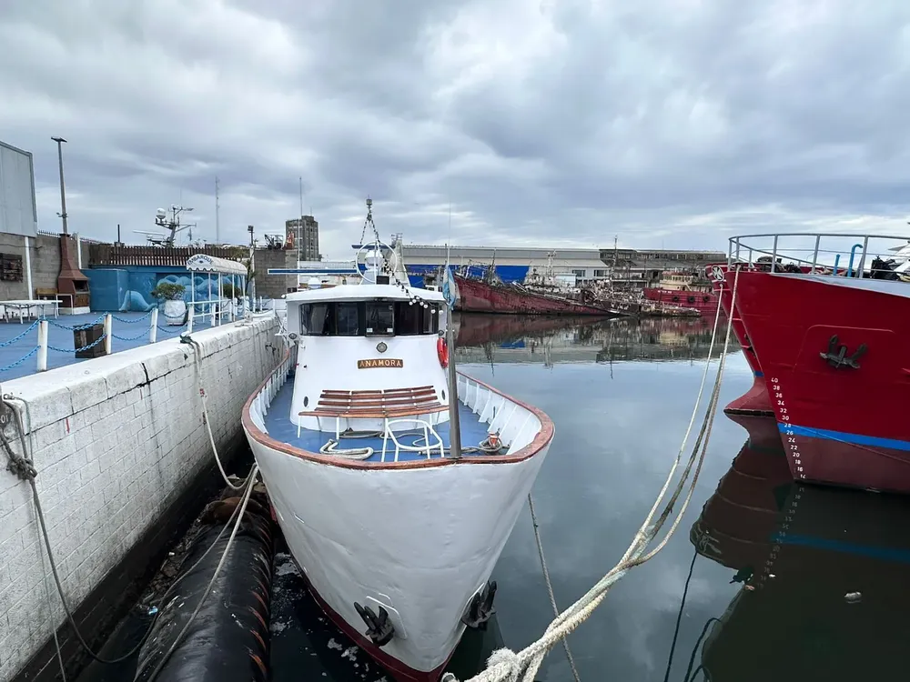 003819e6-fd94-4de5-9914-fdd3f2acaeb6