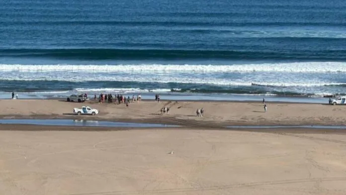 Hombre-Ahogado-en-Necochea-696x392